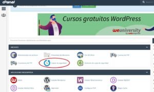 Cómo crear copias de seguridad de WordPress: con plugins y manualmente 34 Copia de seguridad con cPanel